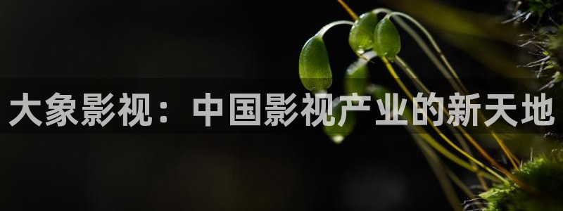 97影院伊人：大象影视：中国影视产业的新天地
