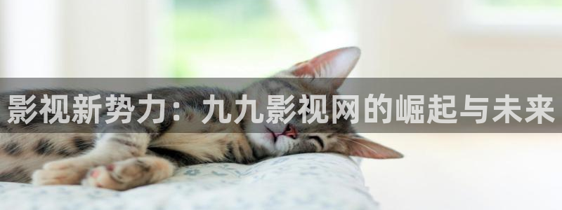 伊人影院焦久影院在线