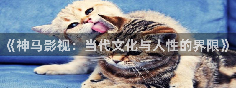 伊人久草视频