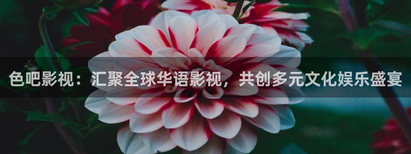伊人影院.com：色吧影视：汇聚全球华语影视，共创多元文化娱乐盛宴