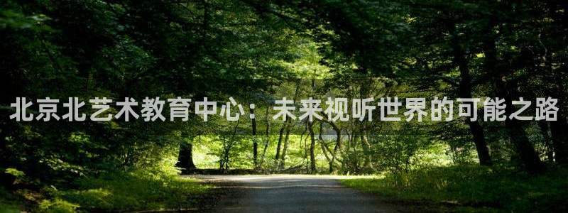 伊人影院综合：北京北艺术教育中心：未来视听世界的可能之路